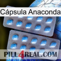 Cápsula Anaconda viagra4